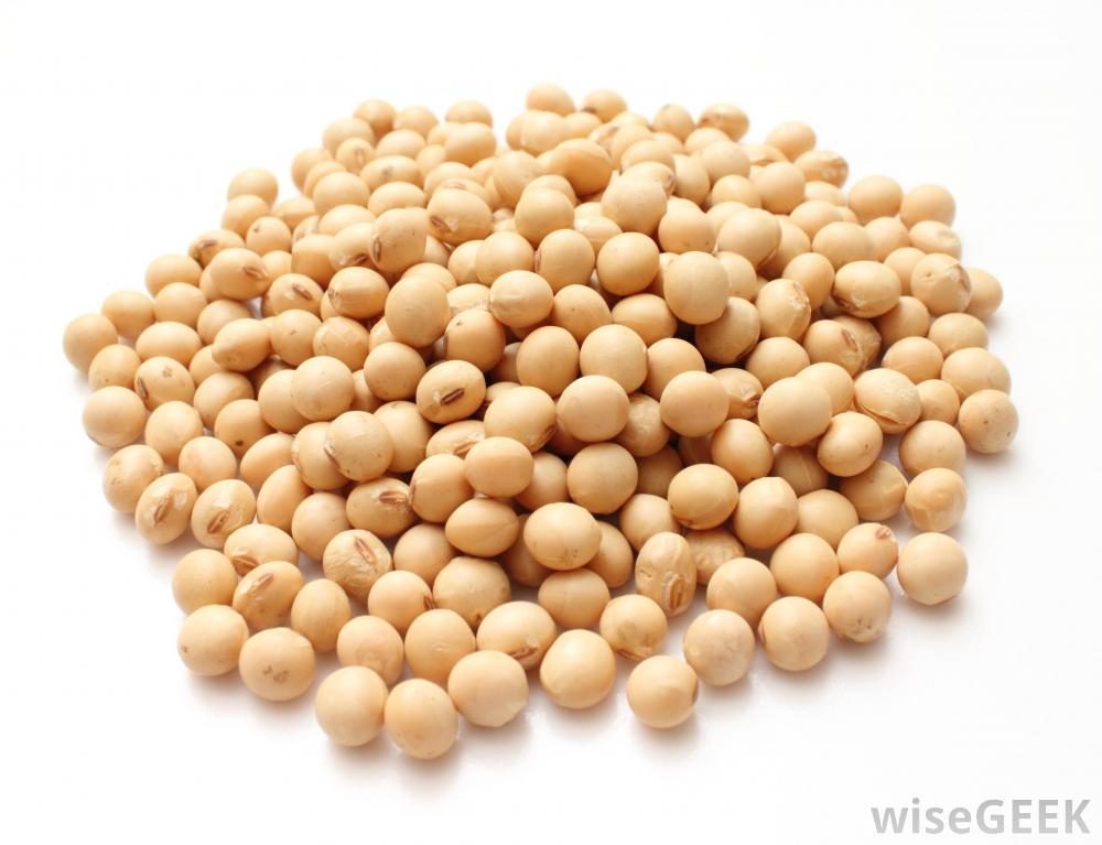Soybean Extract_Standarlized Extract_Xi'an DN Biology Co.,Ltd