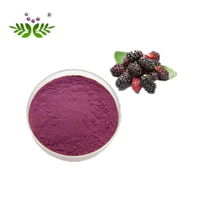 Mulberry fruit Extract_Standarlized Extract_Xi'an DN Biology Co.,Ltd