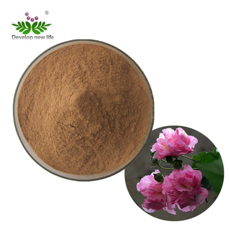 Hibiscus Sabdariffa Extract