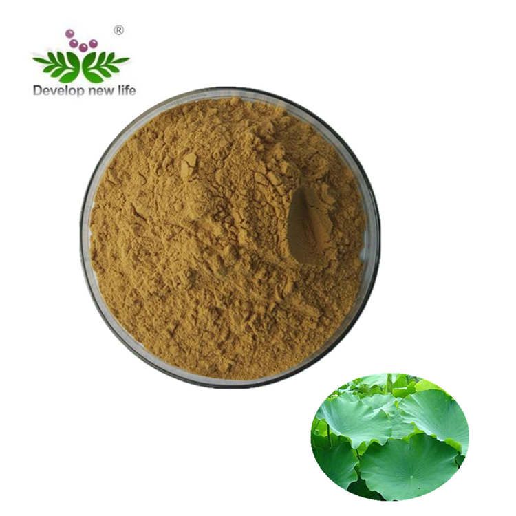 Lotus leaf extract