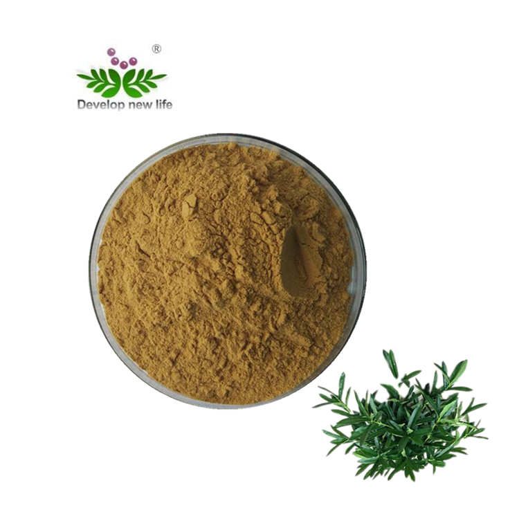 Olive Leaf Extract