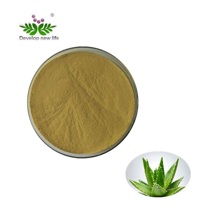 Aloe Vera Extract