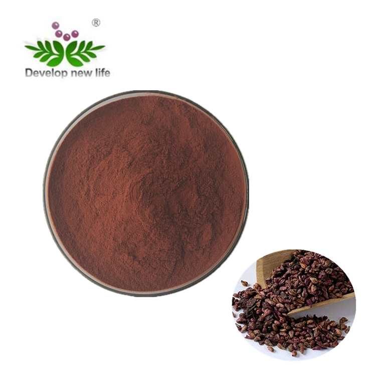 Grape Seed Extract