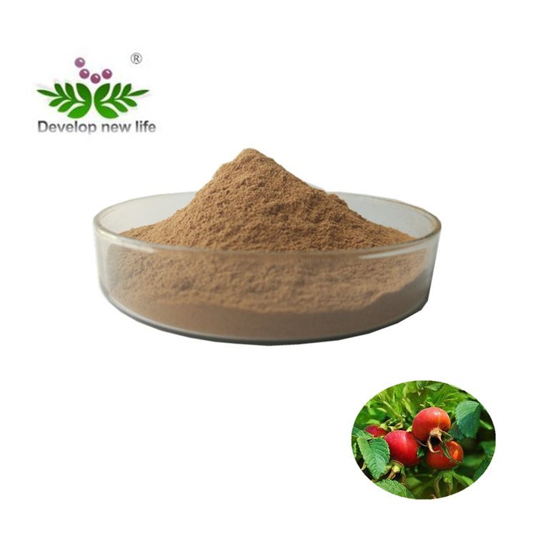 Rose Hips Extract
