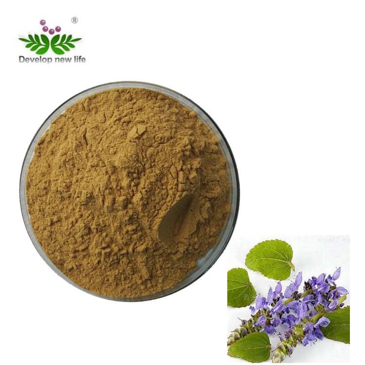 Coleus Forskohli Extract