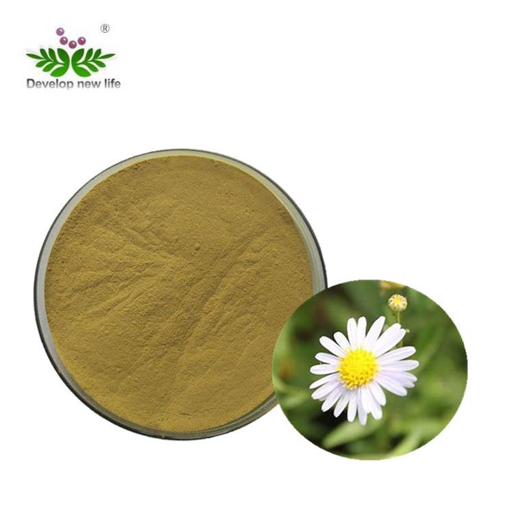 Chamomile Extract