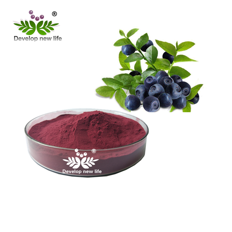 Acai Berry Juice powder