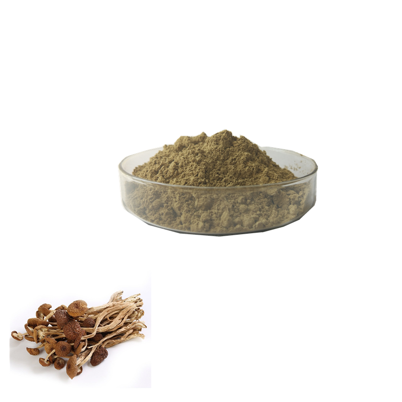 Tea tree mushroom powder