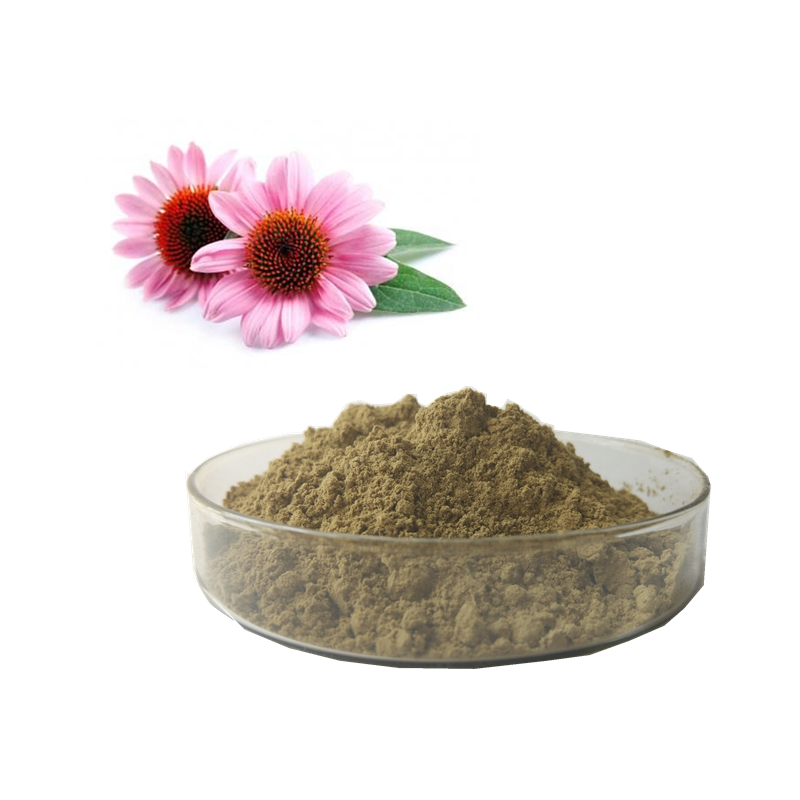 Echinacea purpurea powder