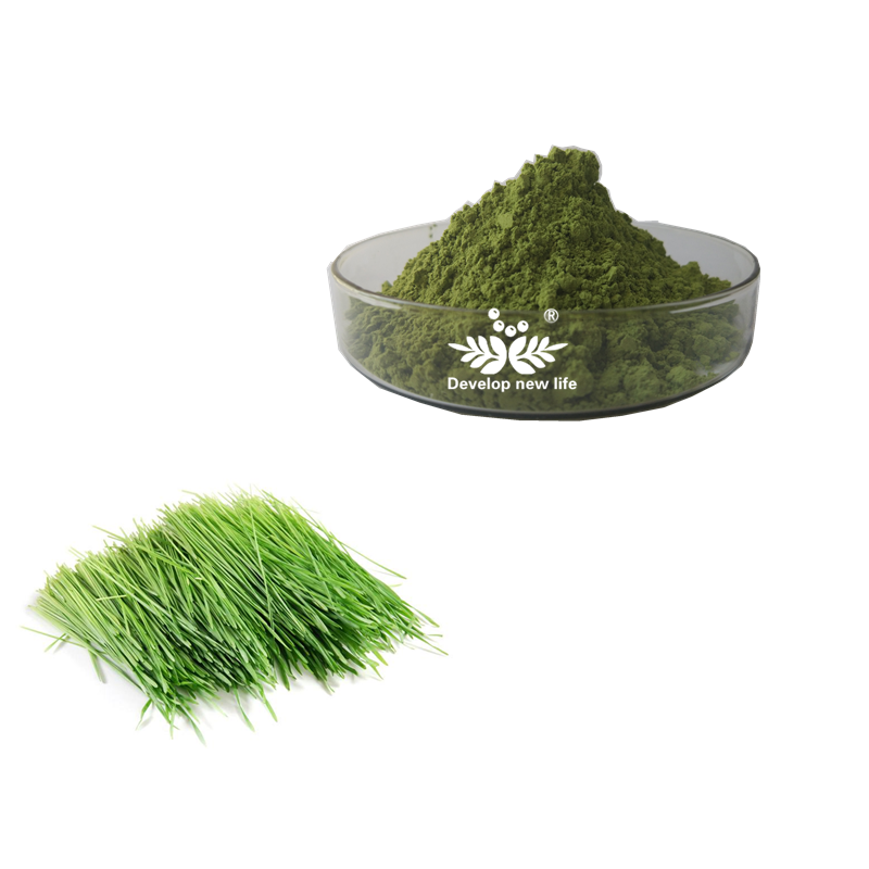 Wheat Grass Powder