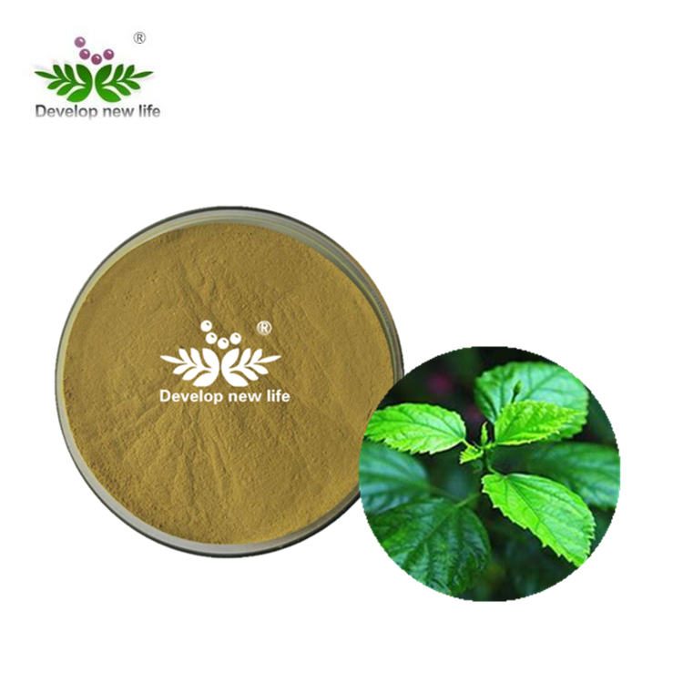 Mulberry Leaf Extract