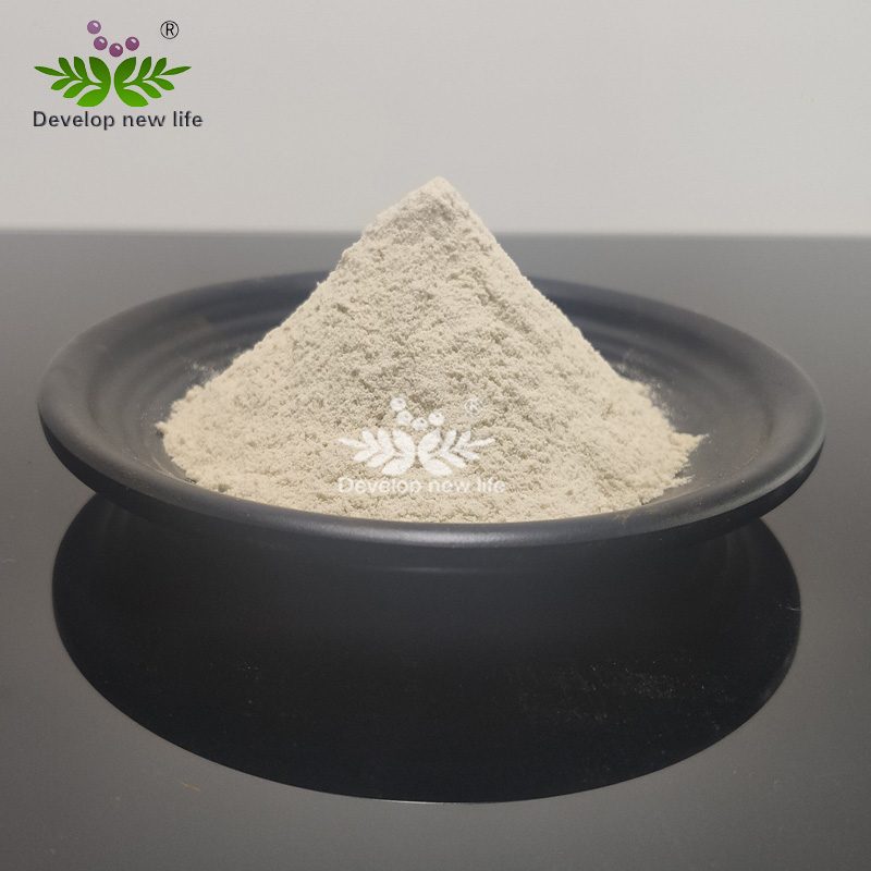 Psyllium Plantago husk powder