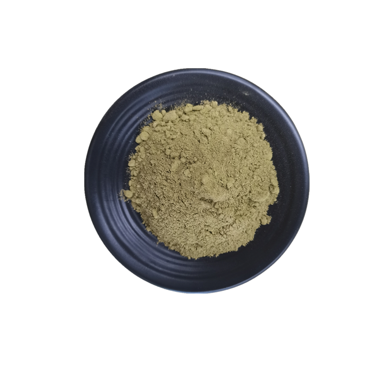 Mint Seasoning Powder