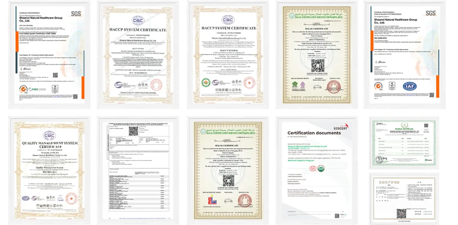 Gymnema Sylvestre Extract Powder certification