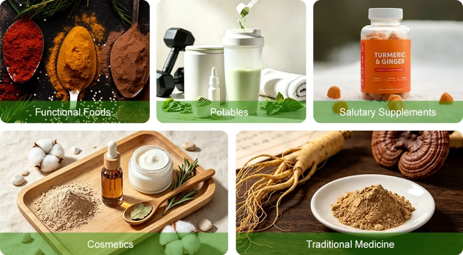 Gymnema Sylvestre Extract Powder application Gymnema Sylvestre Extract Powder application