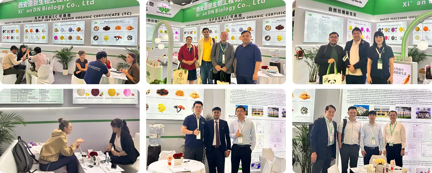 Pure Citicoline Powder Exhibition