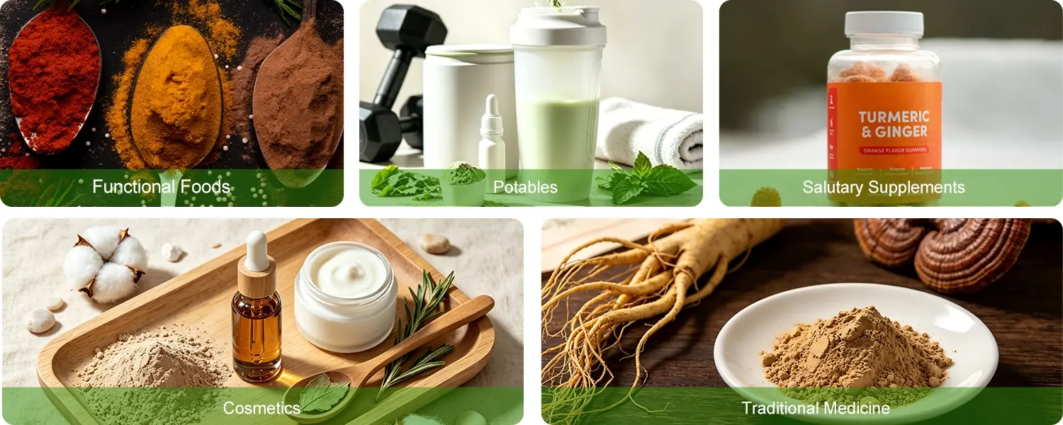 anise seed extract application anise seed extract application