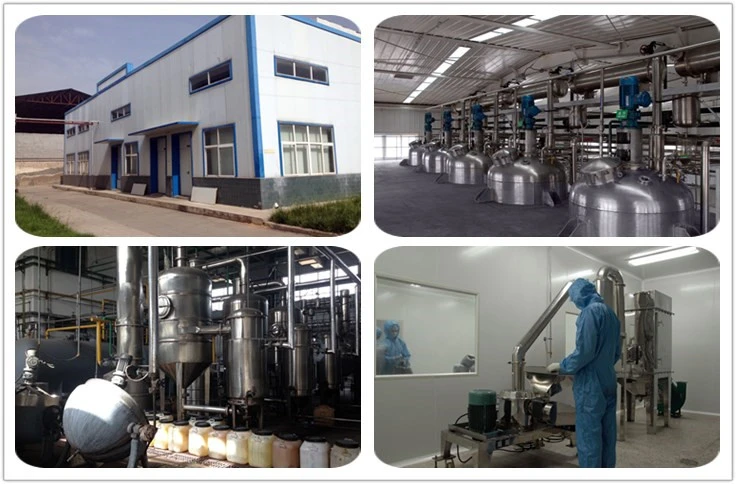 R&D & Manufacturing Capabilities