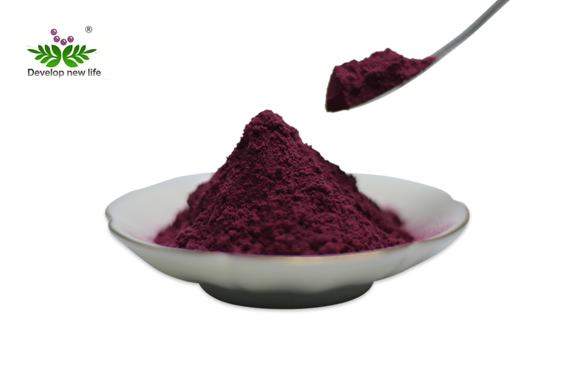 Cranberry Extract