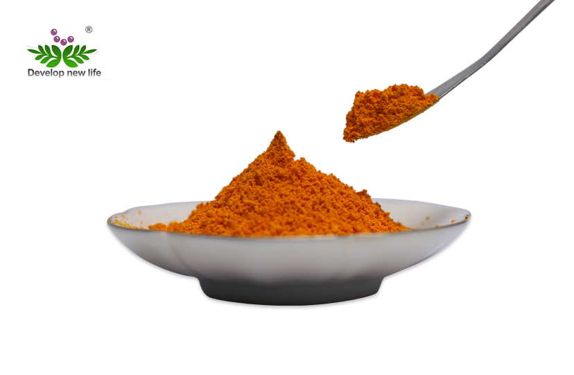 Synthetic Curcumin Powder